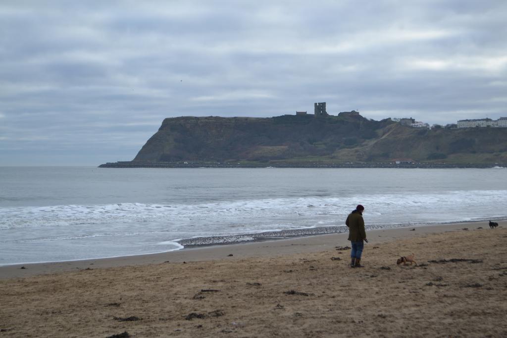 The Beaches Scarborough Exterior photo